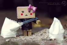 25-52 Come to life 2013