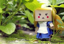 Intermezzo: Lilly im Wunderland