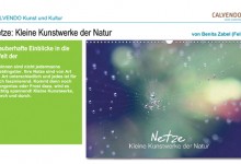 Netze: Kleine Kunstwerke der Natur - Kalender
