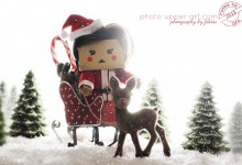 51-52 Come to life 2013