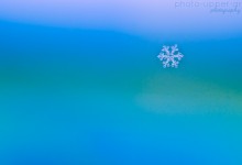 Der Zauber von Schneeflocken