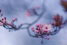 Frühling 2015 - Teil 2