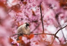 Frühling 2015 - Teil 1