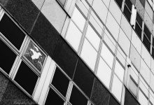 Architektur-Details in schwarz-weiß