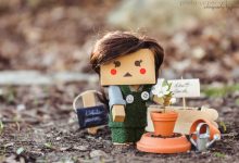 Lilly, die kleine Gärtnerin