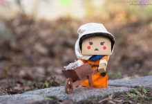 Die Gefährten des Greifen - Lillys Zeitreise ins Spätmittelalter