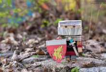 Die Gefährten des Greifen - Lillys Zeitreise ins Spätmittelalter - Teil 2